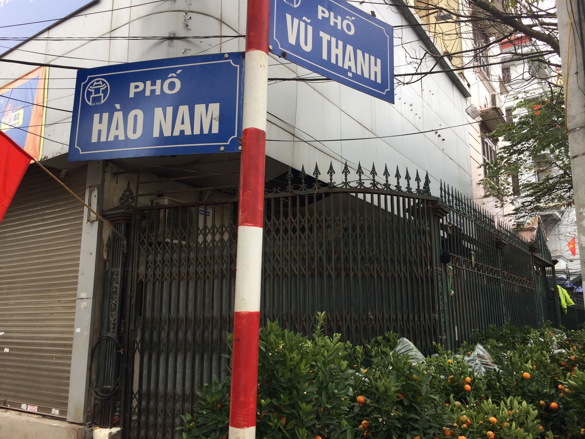 Tham hoa Vu Thanh anh 1