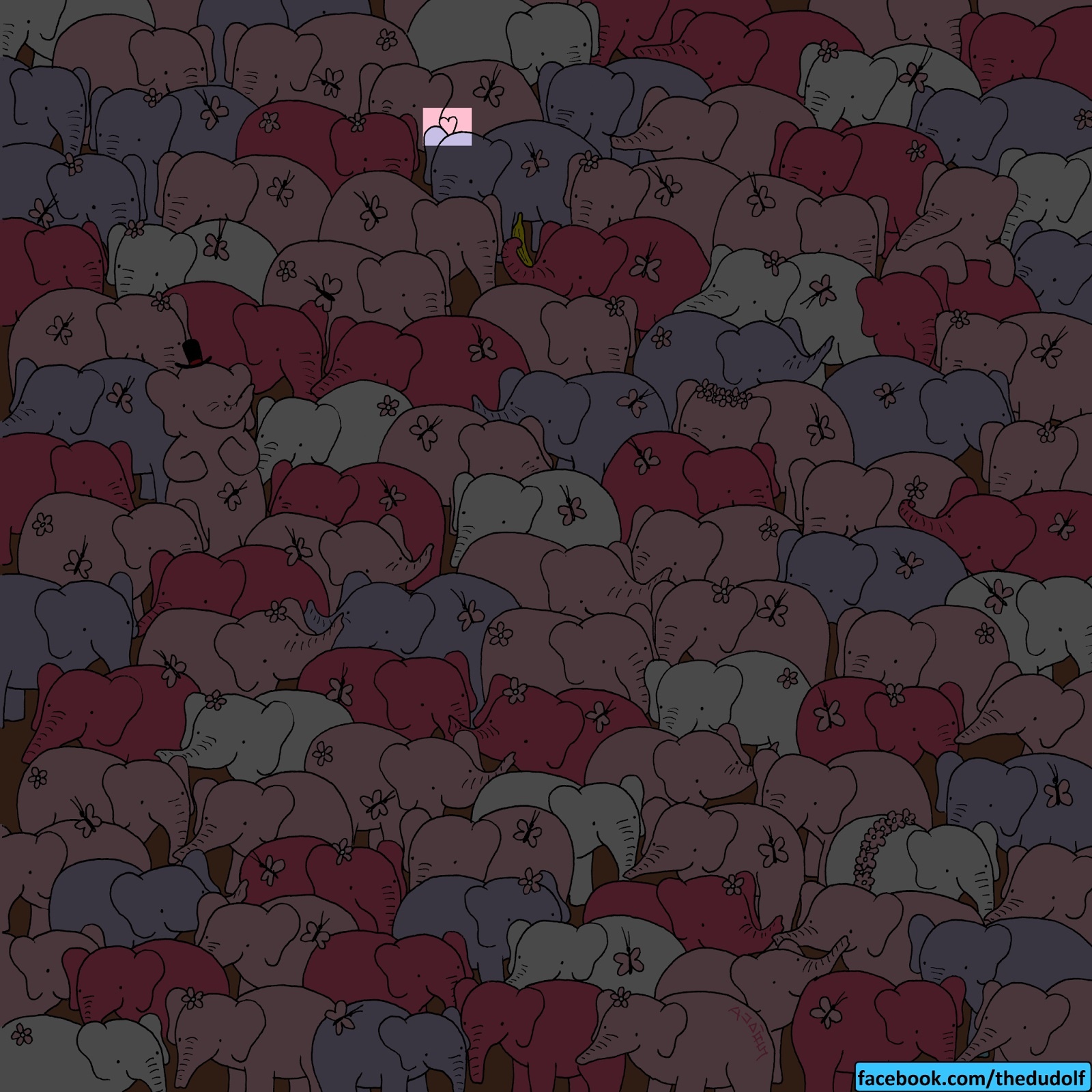 tìm trái tim giữa bầy voi ảnh 2 tim trai tim giua bay voi anh 2