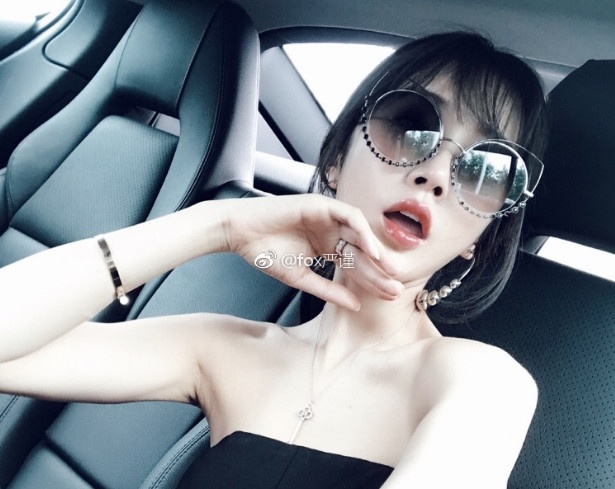 Clip ‘Vit hoa thien nga’ cua Fox Nghiem Can hinh anh