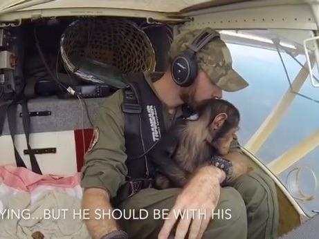 Clip chang phi cong bong tinh tinh con khien dan mang cam dong hinh anh