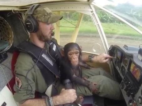 Chang phi cong 'sap nhan duoc 10.000 loi cau hon' vi hanh dong tu te hinh anh