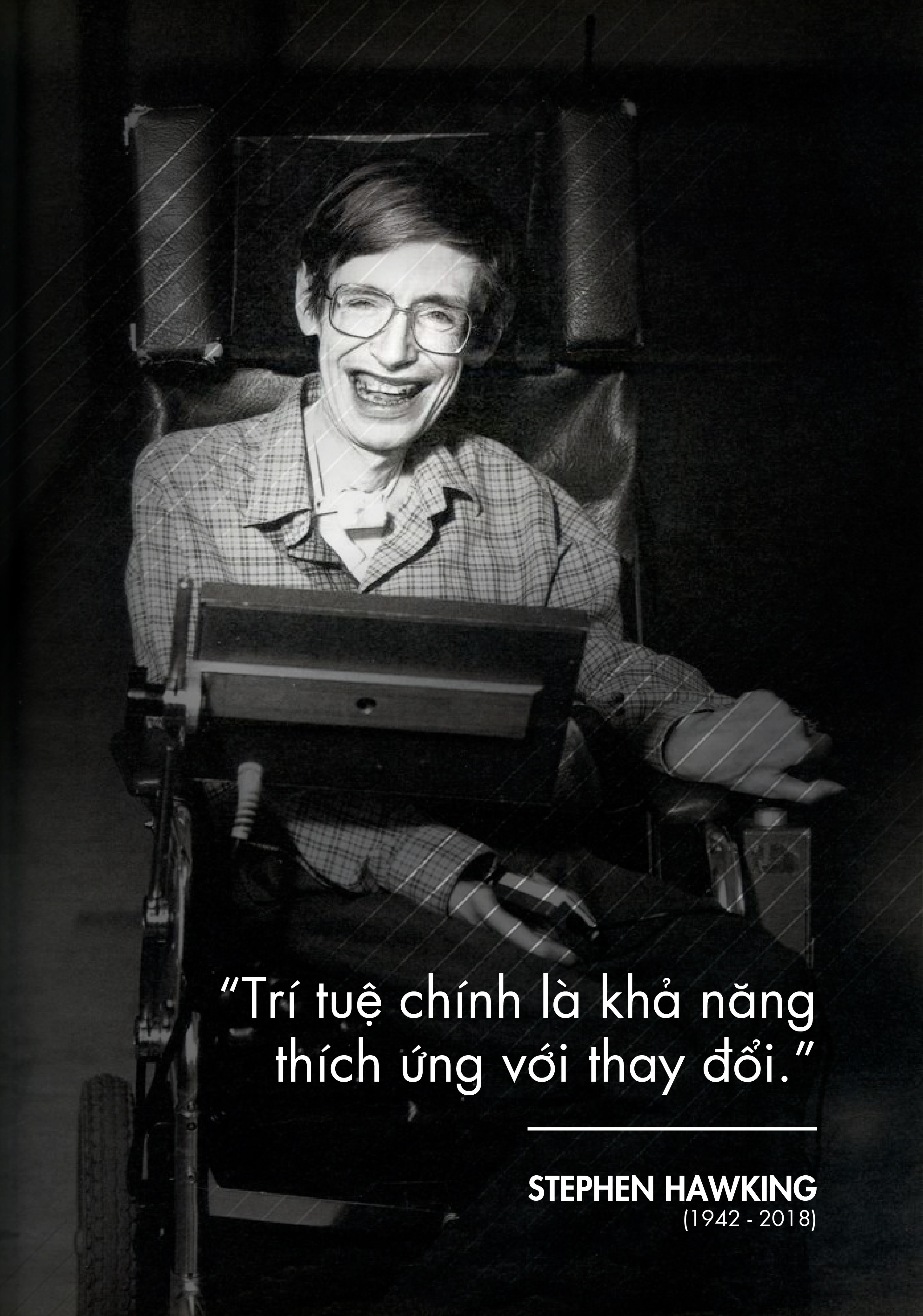 cau noi cua Stephen Hawking anh 5