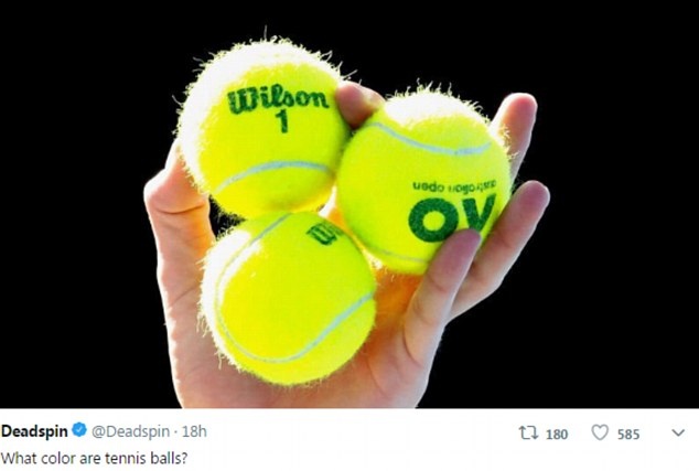 bong tennis vang hay xanh anh 1