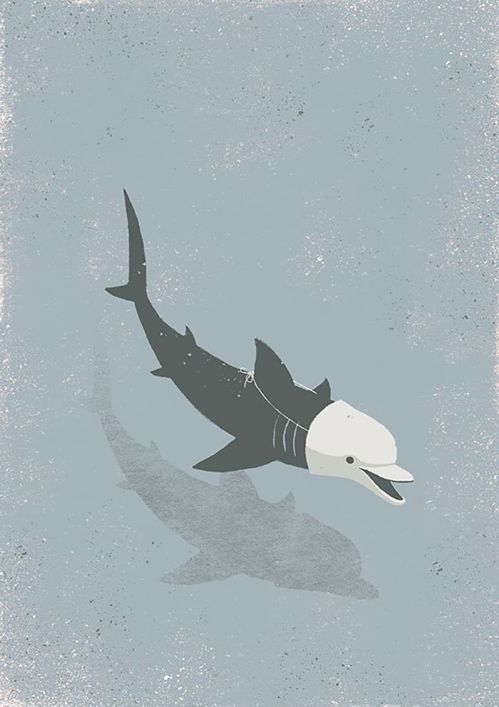 bo tranh dang suy ngam anh 6