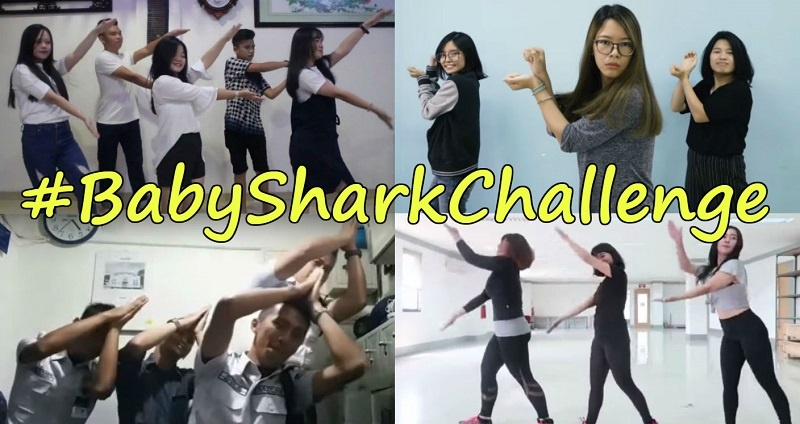 trào lưu nhảy Baby Shark ảnh 2 trao luu nhay Baby Shark anh 2