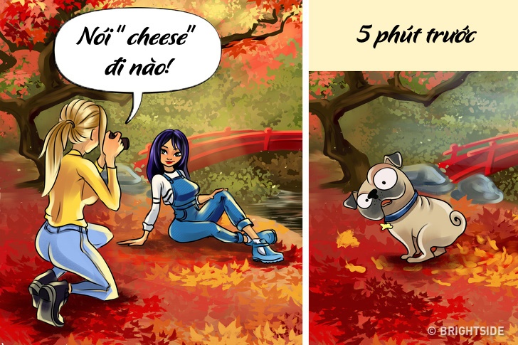 rac roi vao mua thu anh 9