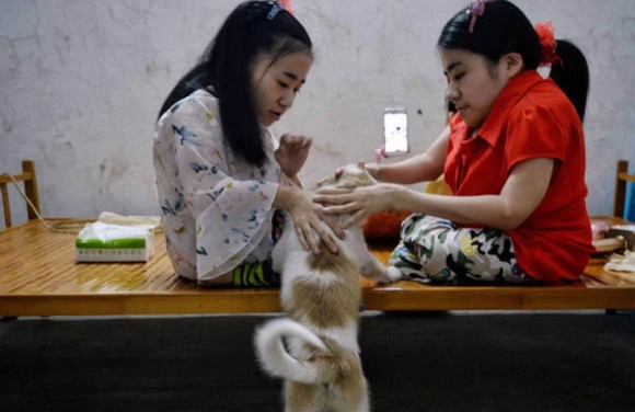 3 chi em tan tat noi tieng trong cong dong mang Trung Quoc hinh anh