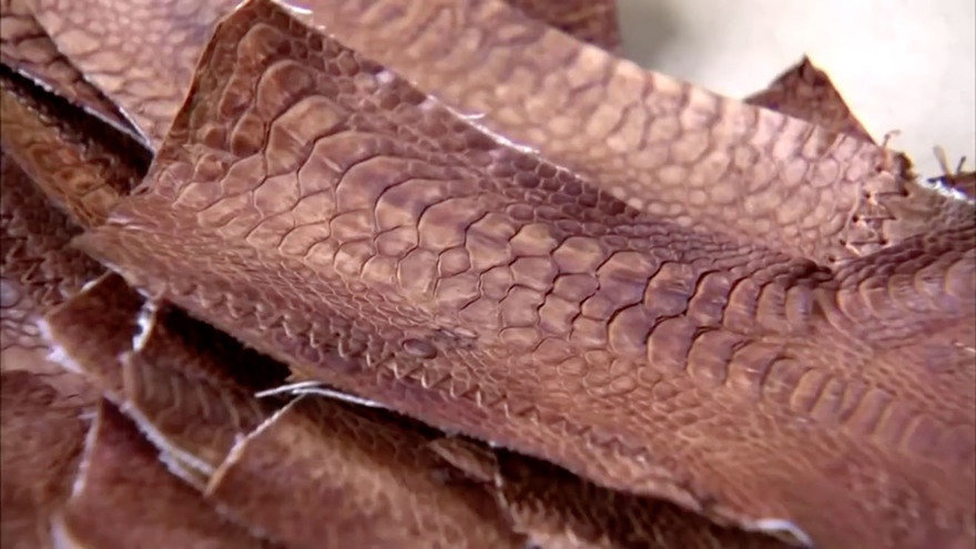 giay tu chan ga anh 5