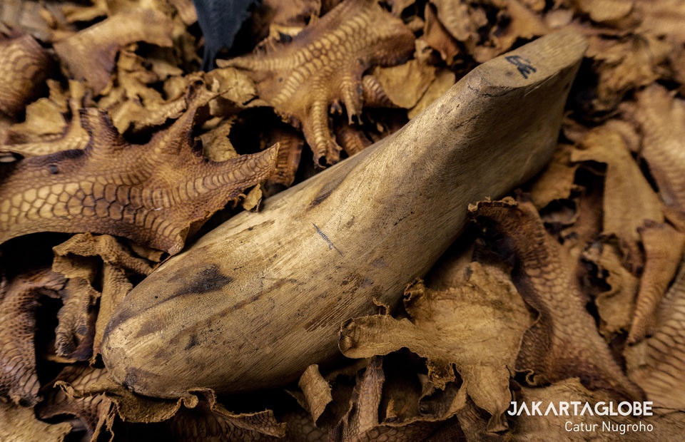 giay tu chan ga anh 2