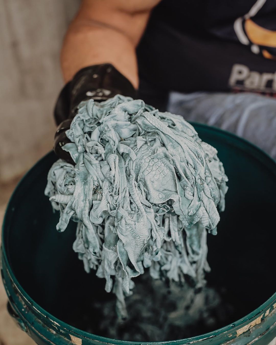 giay tu chan ga anh 15