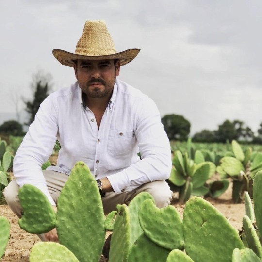 đồ da từ cây xương rồng ảnh 1 do da tu cay xuong rong anh 1