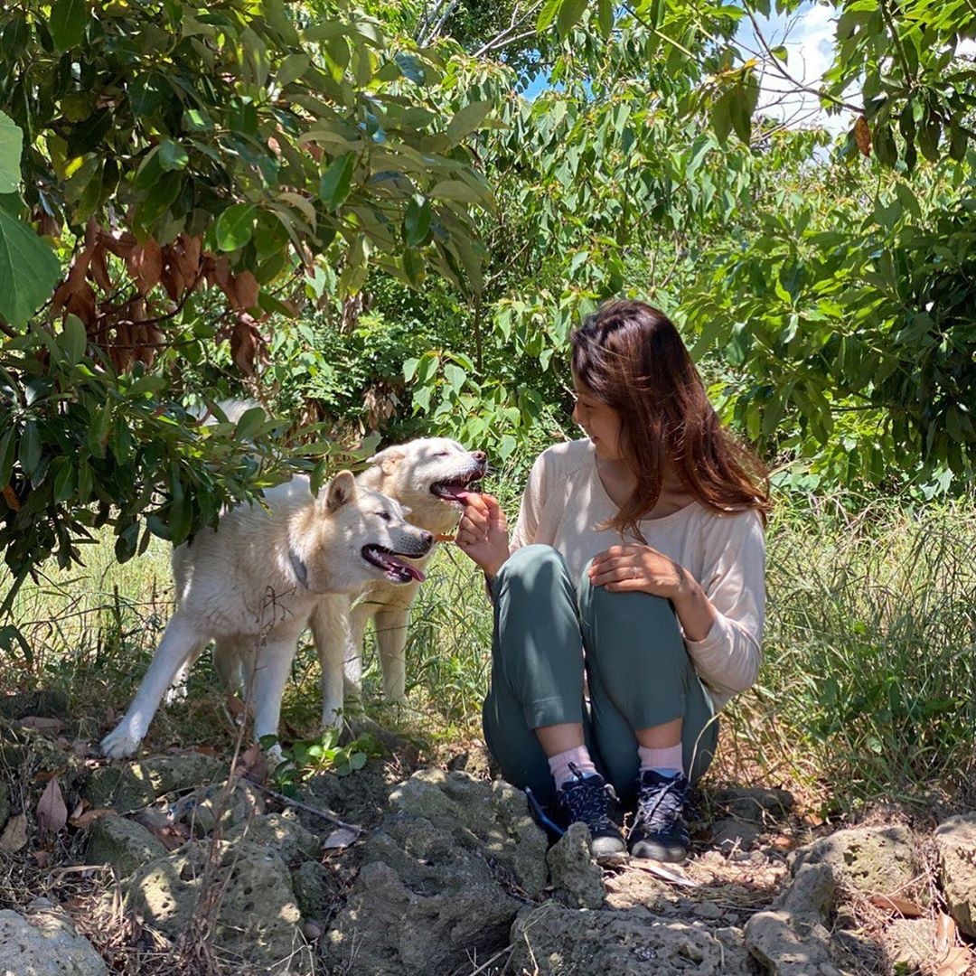 sao Hàn ăn chay ảnh 8 sao Han an chay anh 8