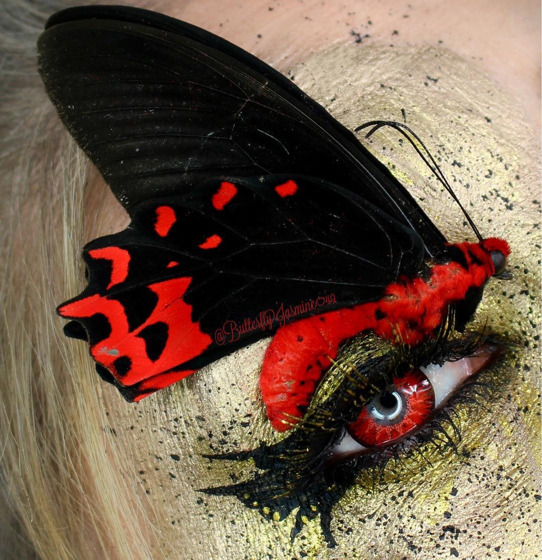 trang diem tu xac con trung anh 14