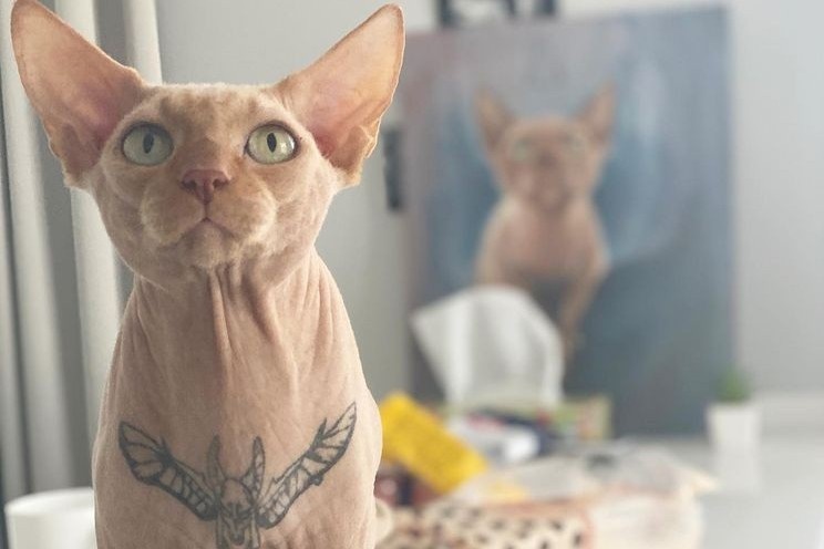 Nu nguoi mau bi chi trich vi xam hinh cho meo hinh anh