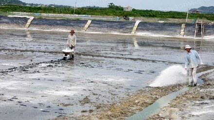 Thu hoi 800 san pham thuy san cua 72 doanh nghiep hinh anh