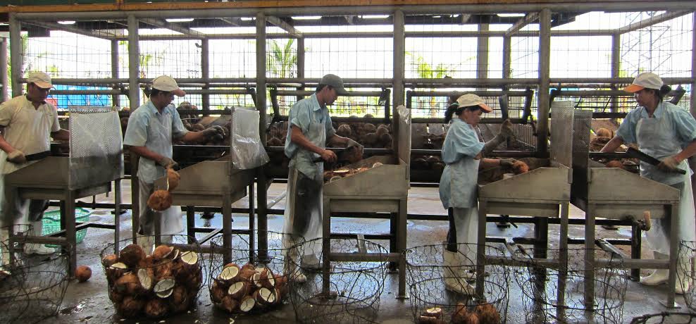 dua Ben Tre bi ep gia anh 2