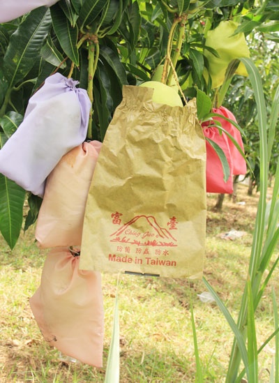 nong san dieu dung vi tin don anh 4