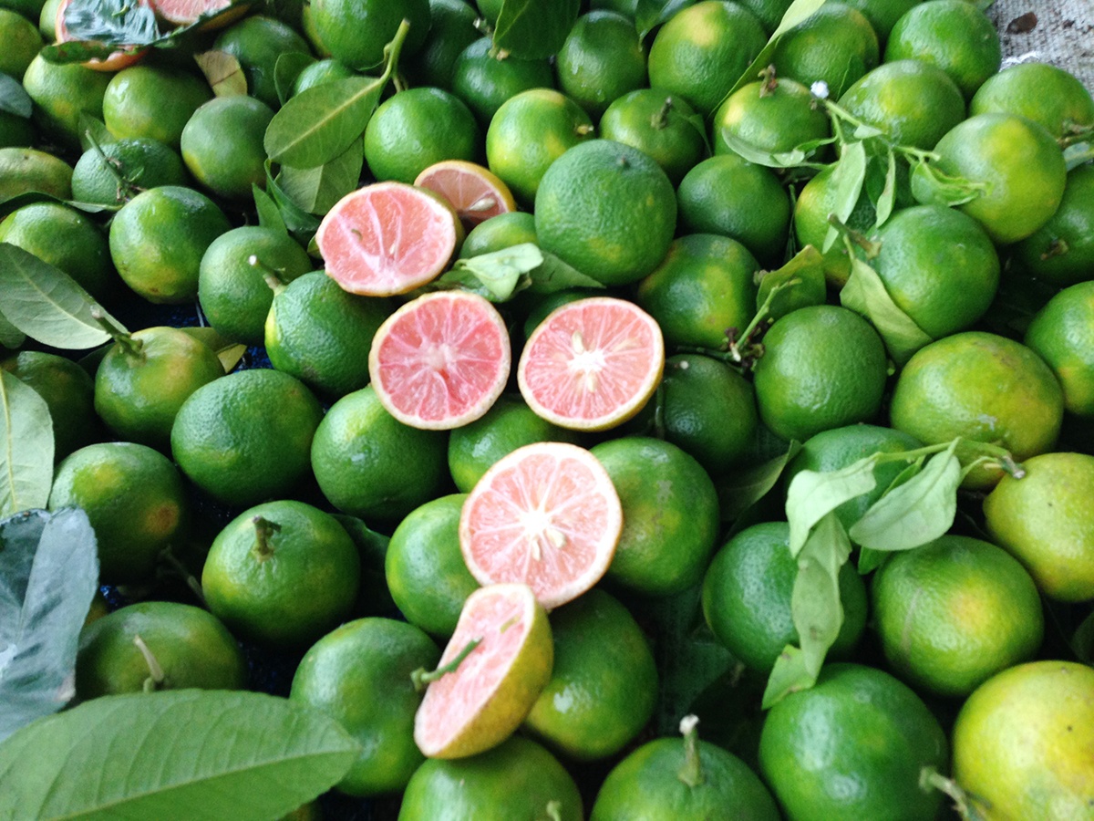 Ban dao chanh dao tai Sai Gon anh 2