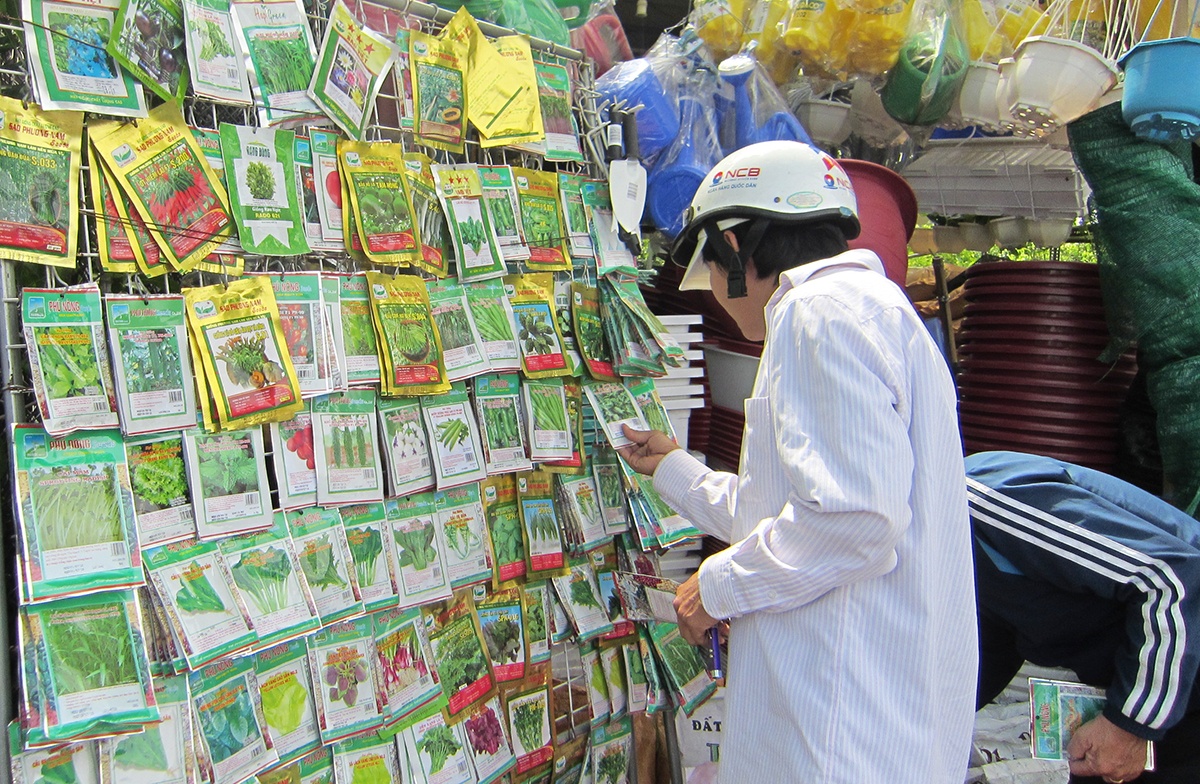 rau trồng trong chậu ảnh 3 rau trong trong chau anh 3