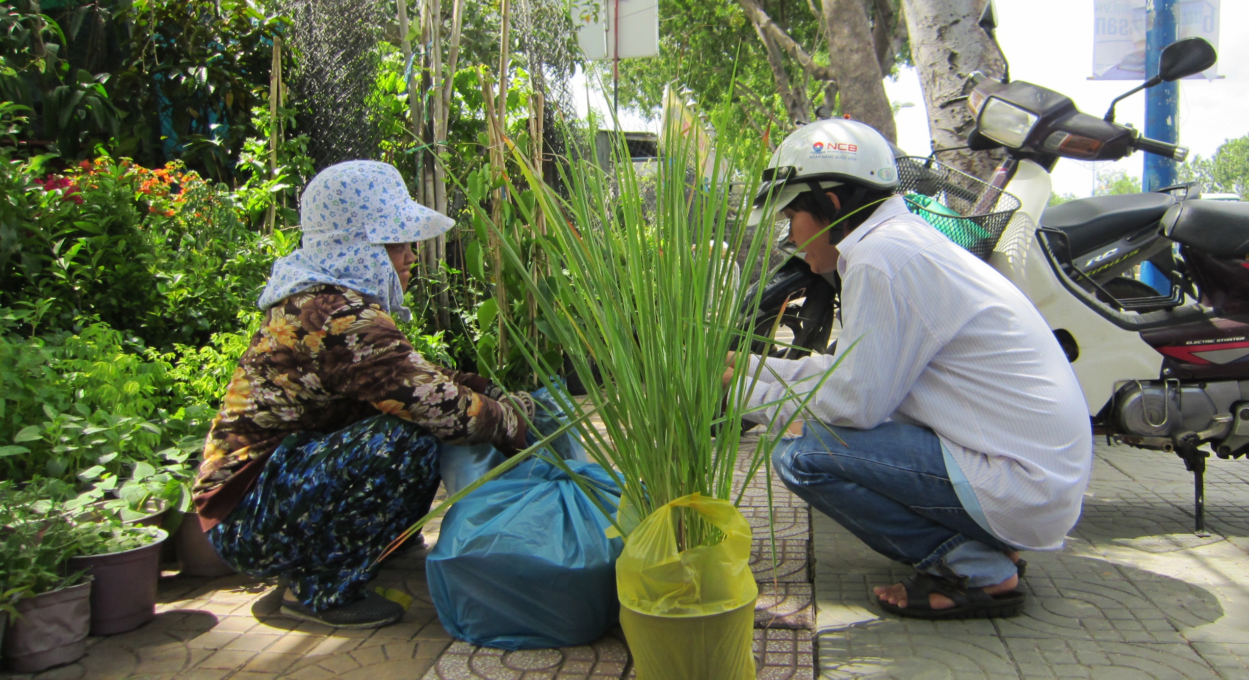 Lo rau ban, nguoi Sai Gon do xo di mua rau trong trong chau hinh anh