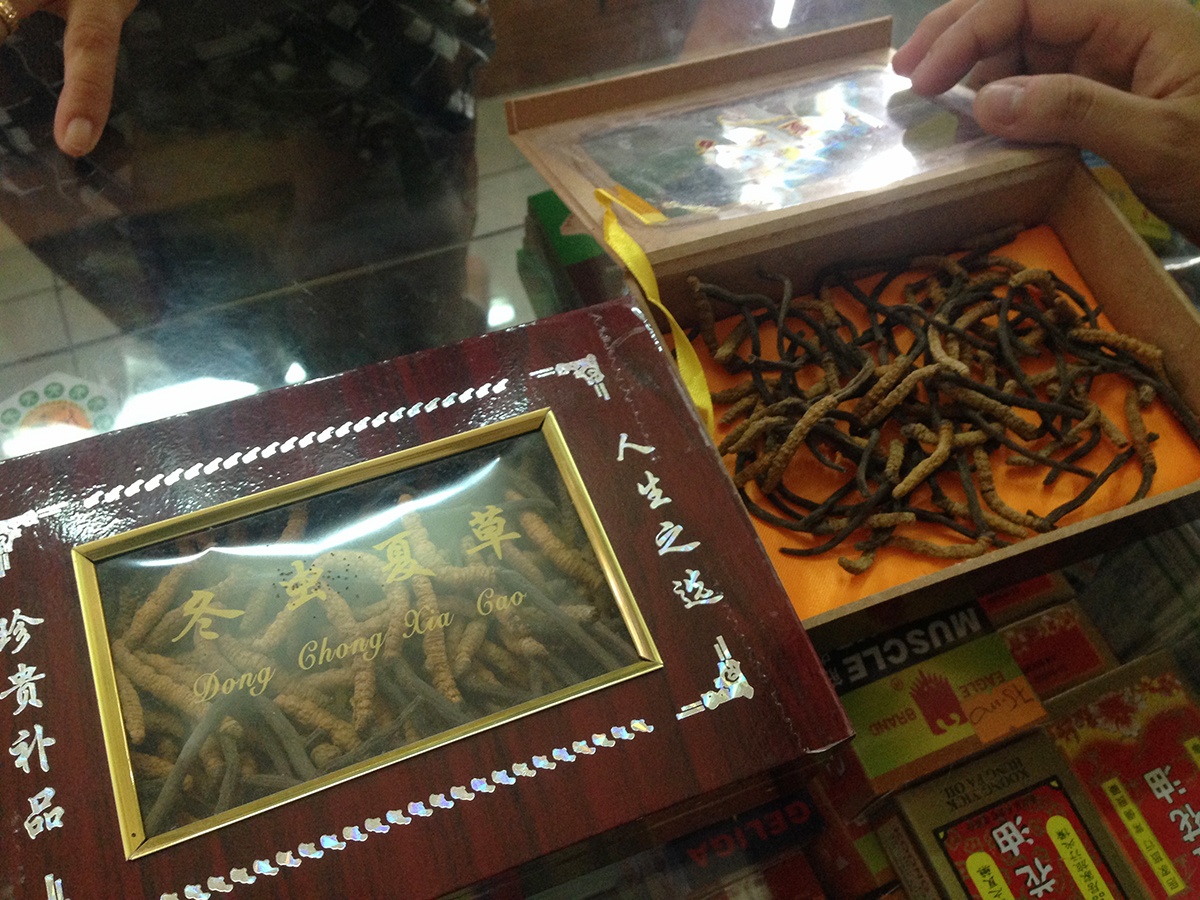 Bi quyet de phan biet dong trung ha thao gia hinh anh