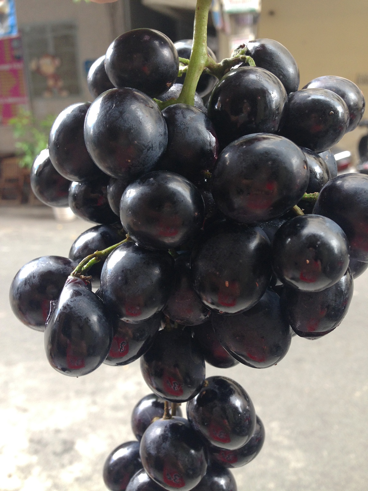 Ban nho den Trung Quoc nhung cho khach thu nho My hinh anh