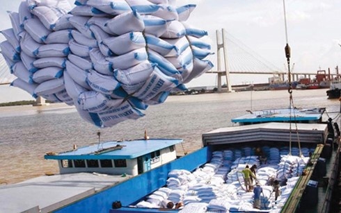 Indonesia khong nhap khau gao Viet Nam trong nam 2016 hinh anh