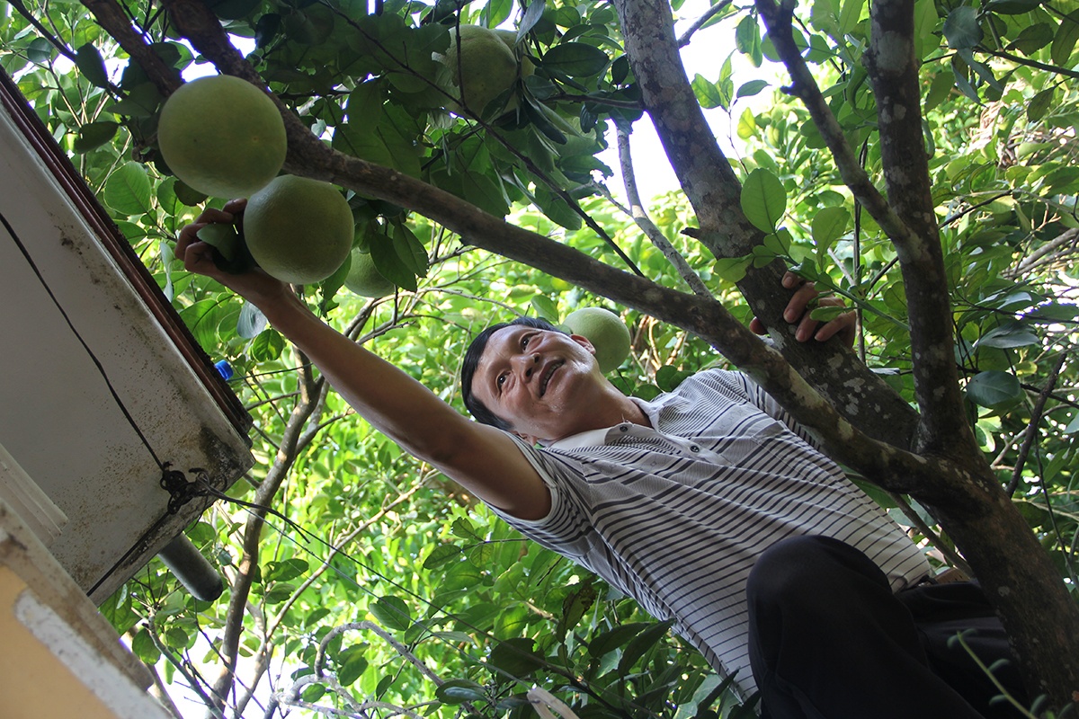 Nong dan trong thanh tra dieu dung vi nhen do va nang nong hinh anh