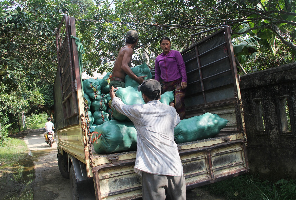 Thanh tra mat mua anh 1