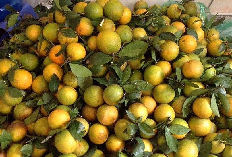 Khap noi trai cay Trung Quoc anh 1