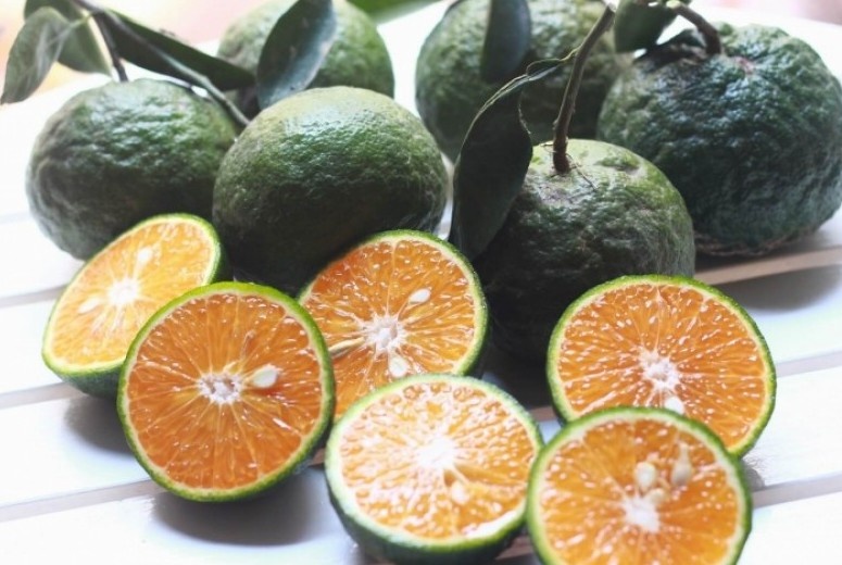 Khap noi trai cay Trung Quoc anh 4