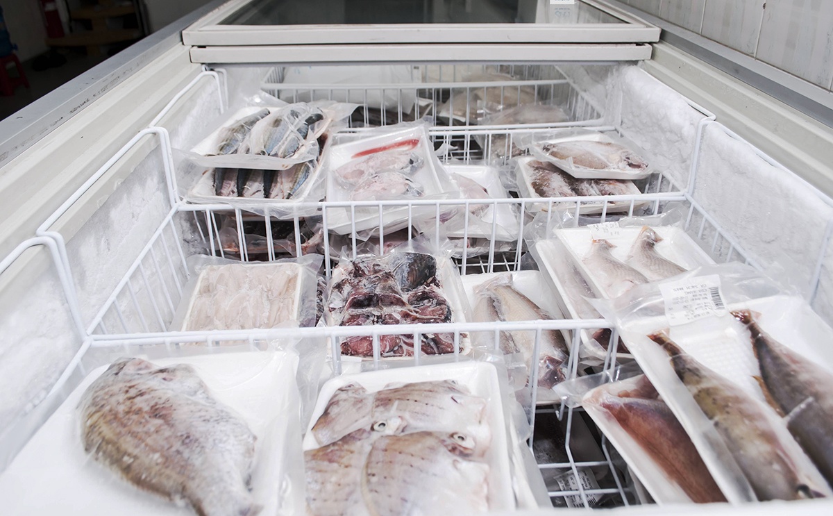 Dự án ‘cá ngủ đông’ độc đáo của 9X tại Sài Gòn ảnh 2 Du an ‘ca ngu dong’ doc dao cua 9X tai Sai Gon anh 2