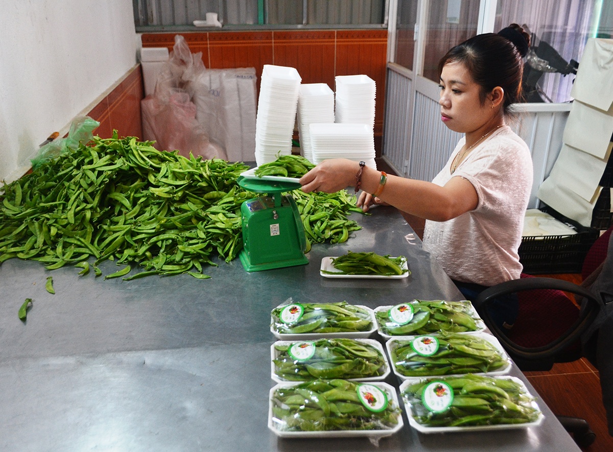 Rau sach Da Lat 'gay nghien' cho khach hang TP.HCM hinh anh