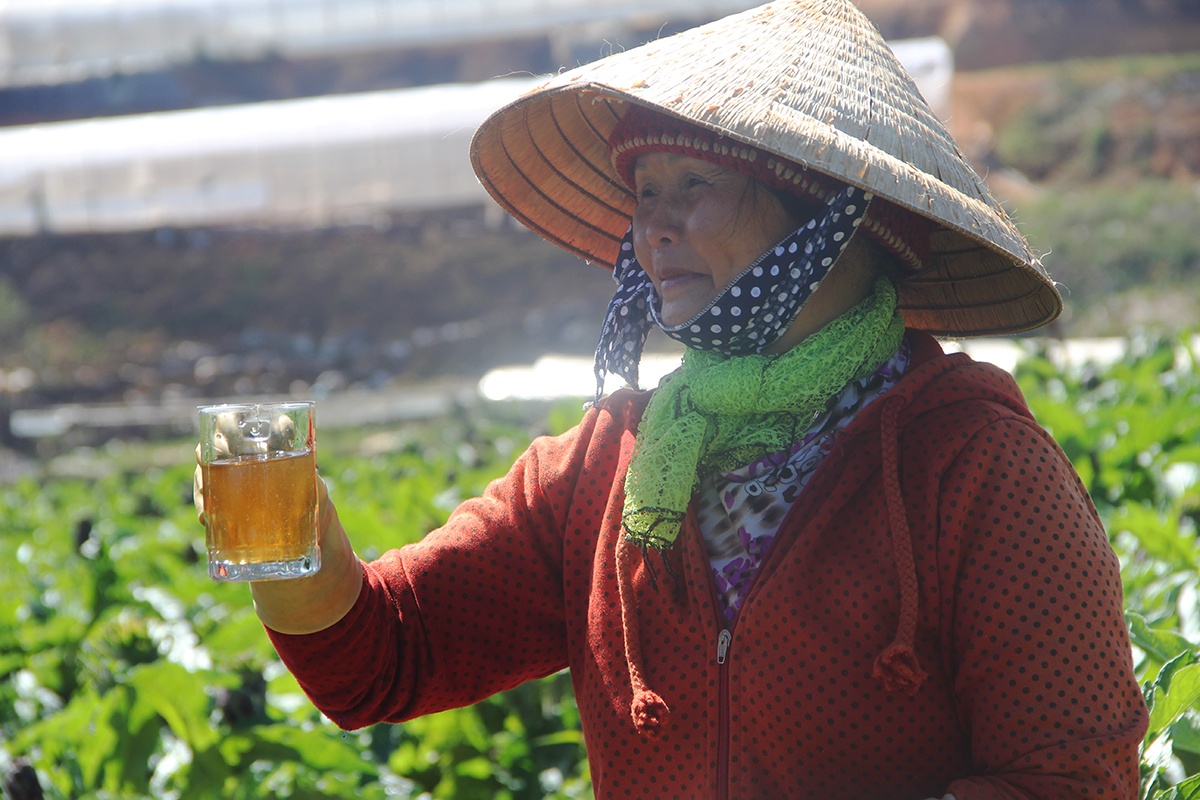 Thu 400 trieu nam nho trong atiso duoc lieu anh 10