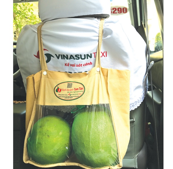 Vinasun ban buoi tren xe hinh anh