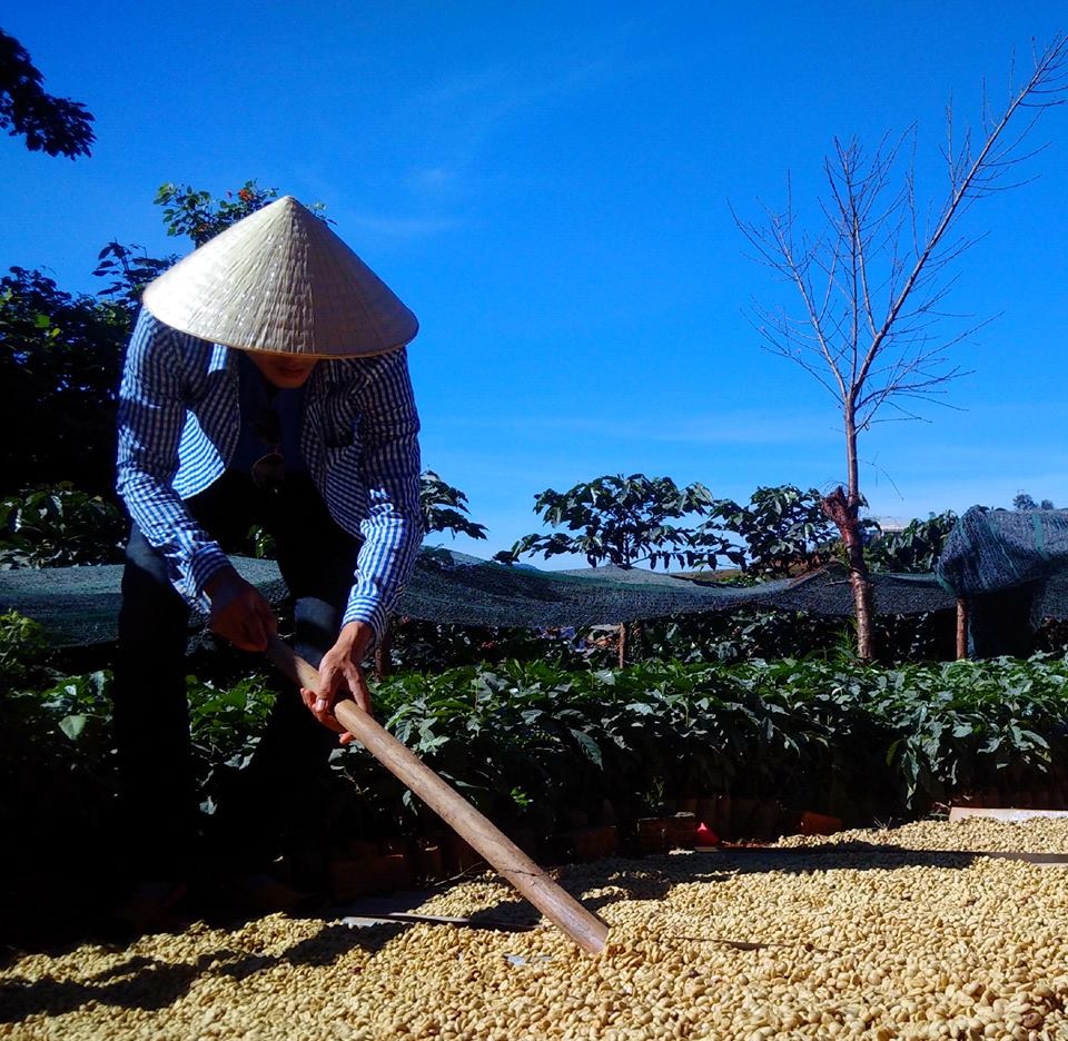 Quan ca phe doc dao tai Sai Gon anh 2