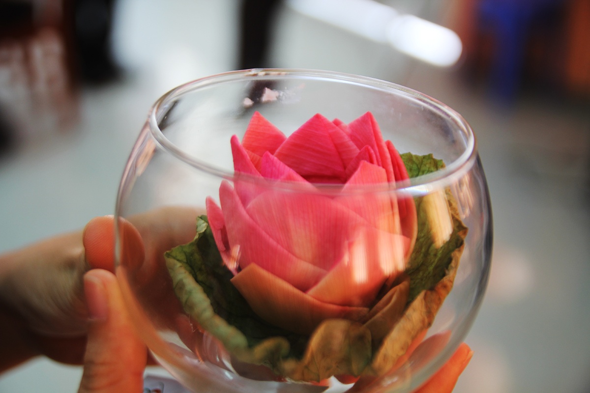 ‘Ghet’ hoa sen,  thac si Phap ve que Dong Thap lap nghiep anh 3