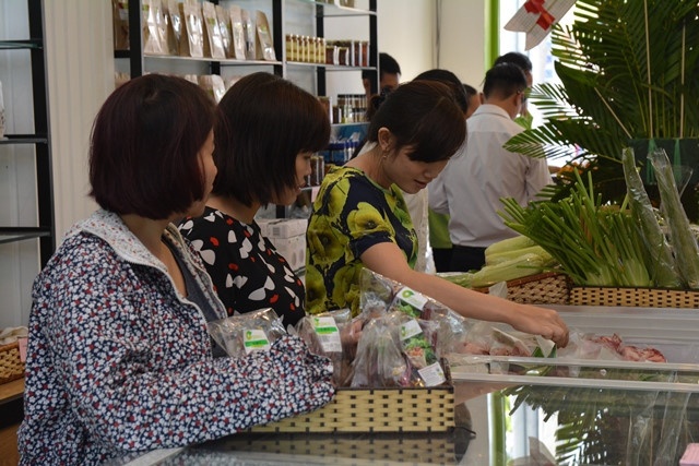 Rau huu co gia dat nhung kho phan biet chat luong anh 1