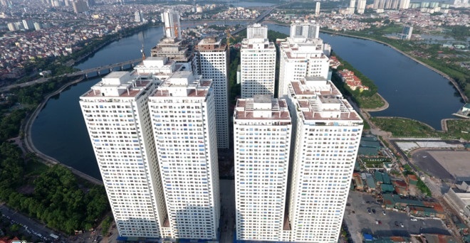 Dai gia dia oc xe rao hinh anh