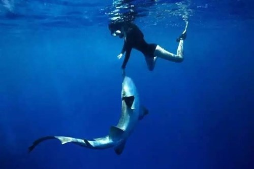 phuot thu xinh dep anh 7