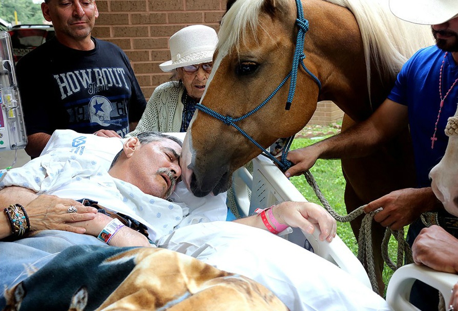 anh cam dong nhat nam 2016 anh 5