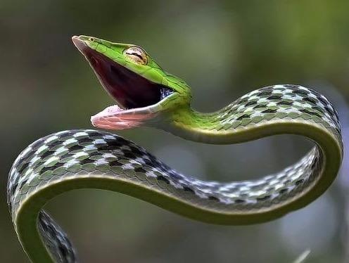 15 khoanh khac hai huoc do chup dung thoi diem hinh anh