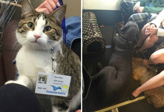 cau chuyen ve tinh nguoi nam 2016 anh 10