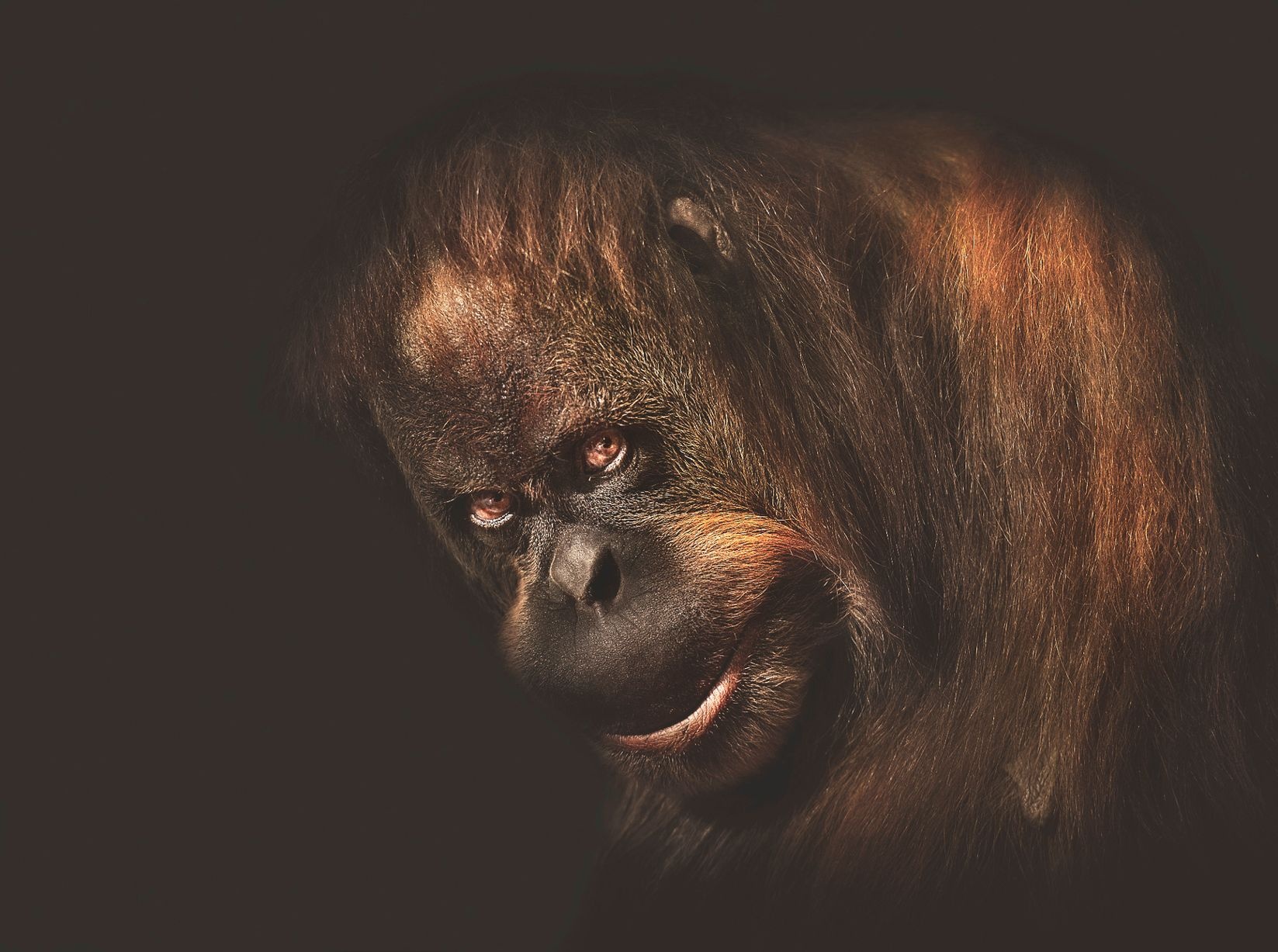 hinh anh ky la nhat nam 2016 anh 6