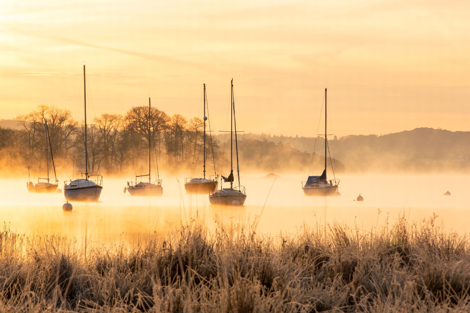 hinh anh ky la nhat nam 2016 anh 18