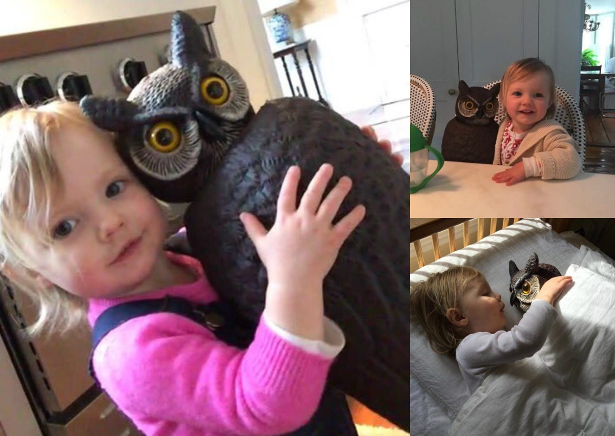 anh hai huoc tren mang anh 3