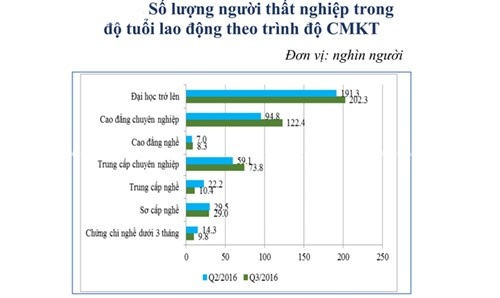 bo diem san dai hoc anh 2