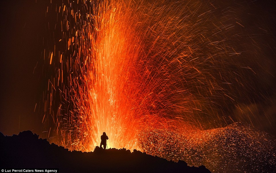 anh mao hiem nhat nam 2016 anh 11