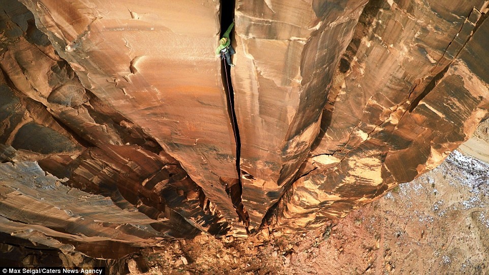 anh mao hiem nhat nam 2016 anh 8