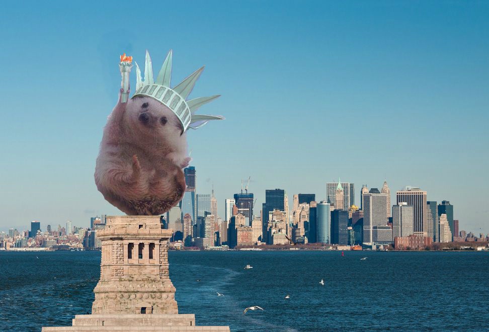 anh che noi bat nam 2016 anh 16